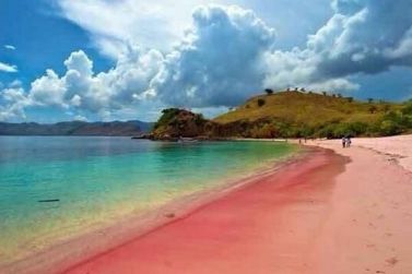 pink sands